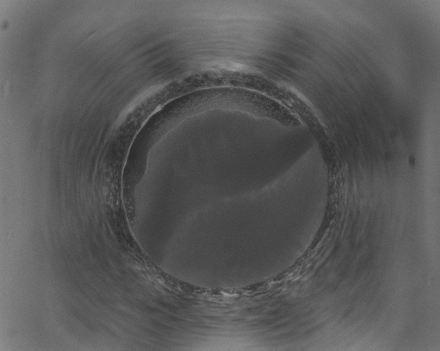 X0000068770919200605011023