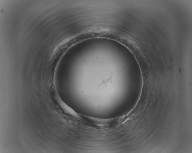 X0000068770920200605011023