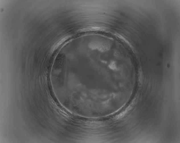 X0000068770921200605011023