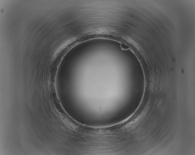 X0000068770922200605011023