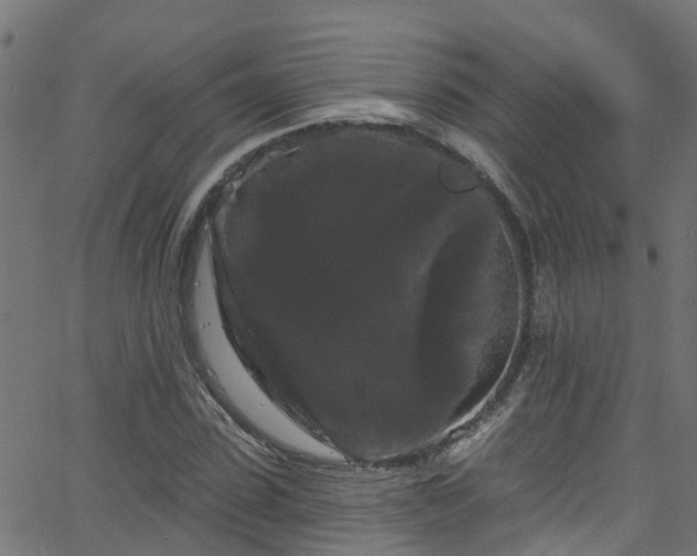 X0000068770923200605011023