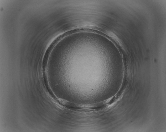 X0000068770924200605011023