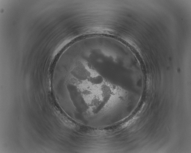 X0000068770925200605011023