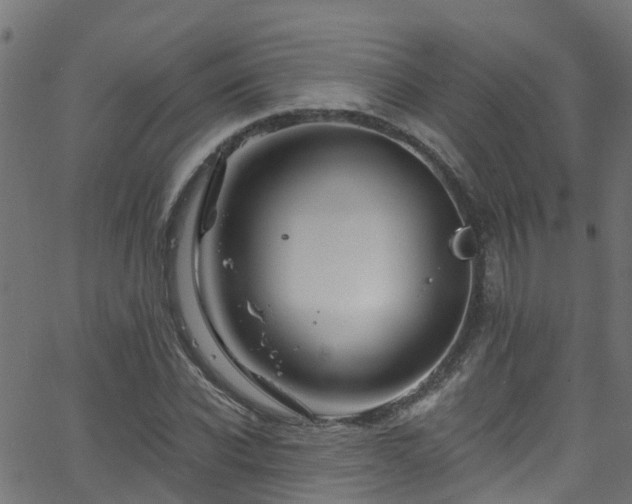 X0000068770926200605011023