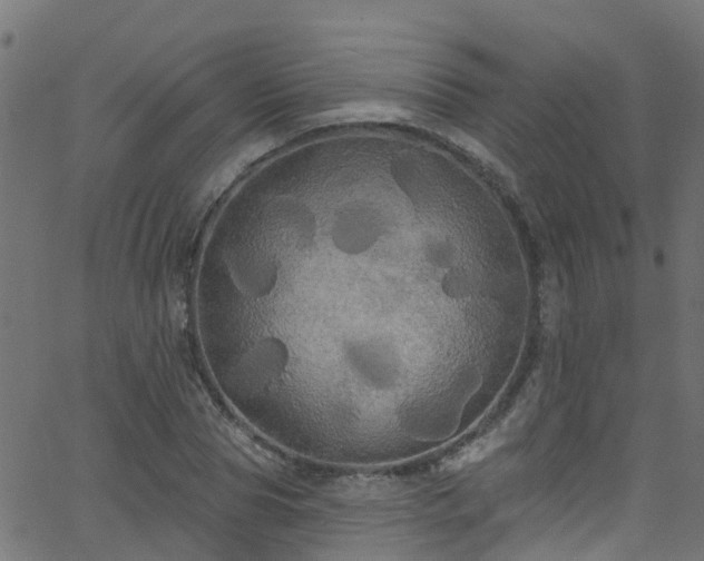 X0000068770929200605011023