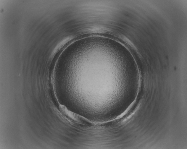 X0000068770930200605011023