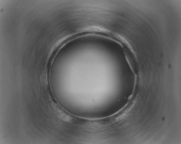 X0000068770931200605011023