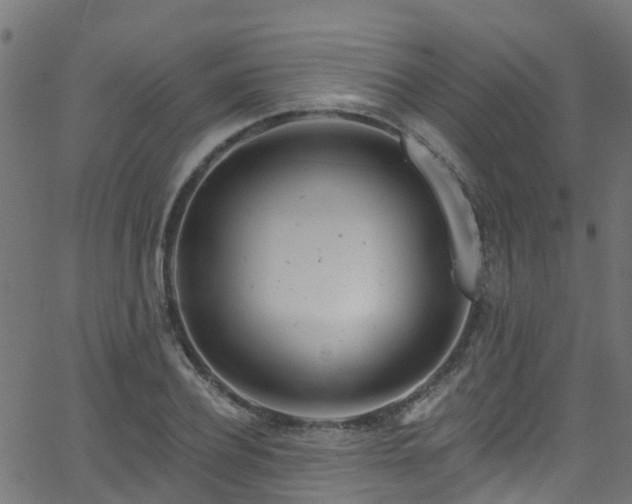 X0000068770932200605011023