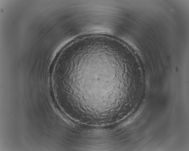 X0000068770933200605011023