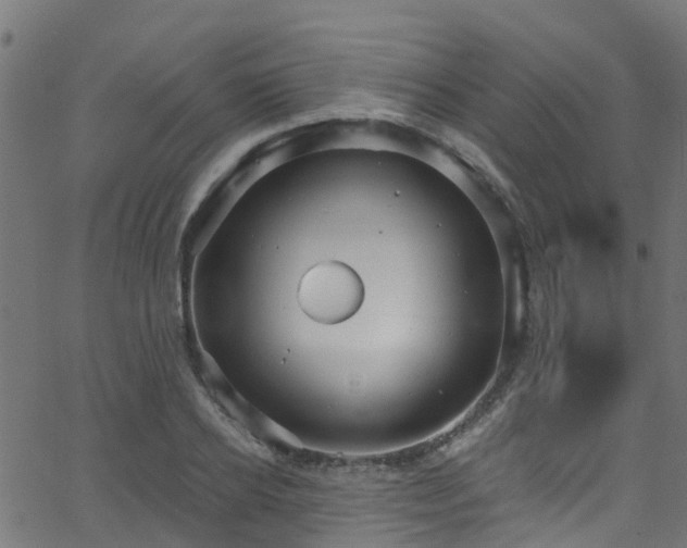 X0000068770934200605011023