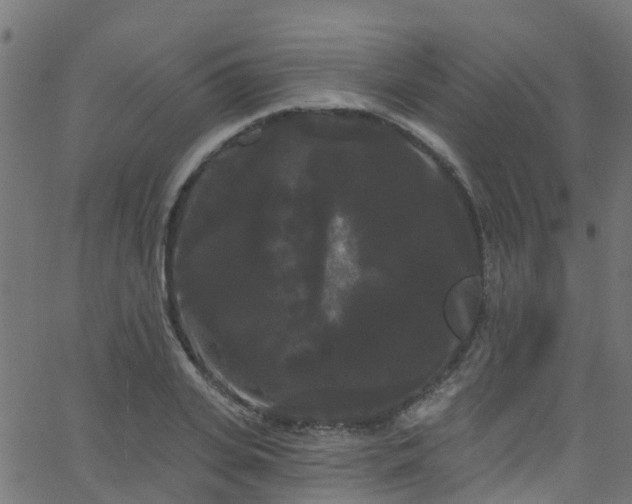 X0000068770935200605011023