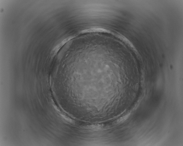 X0000068770937200605011023