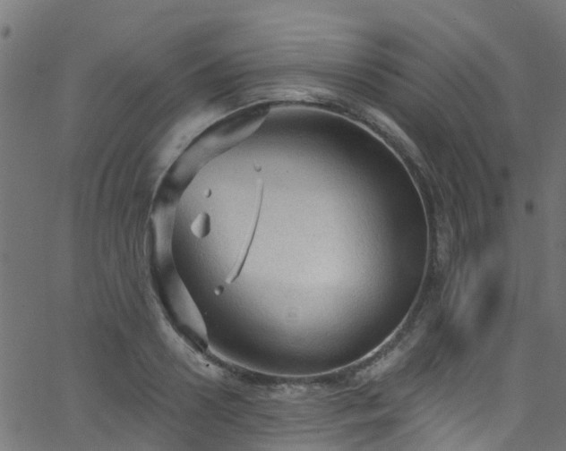 X0000068770938200605011023