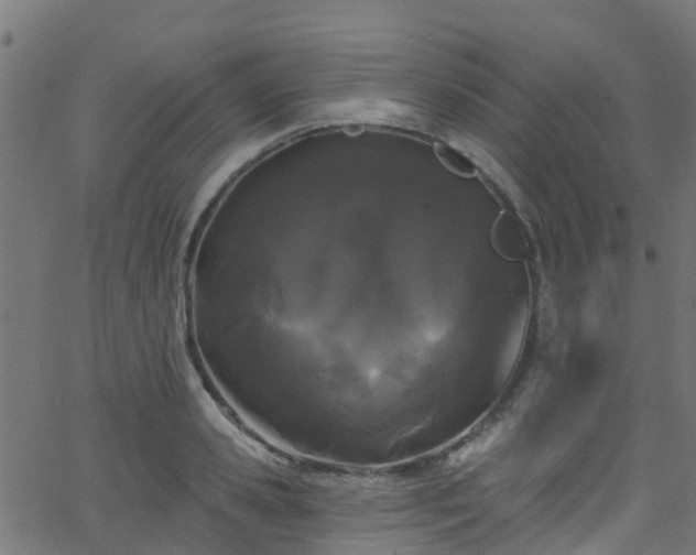 X0000068770941200605011023