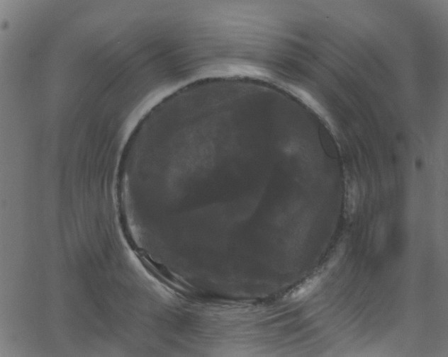 X0000068770943200605011023