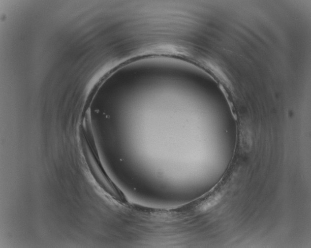 X0000068770944200605011023