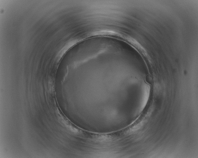 X0000068770945200605011023