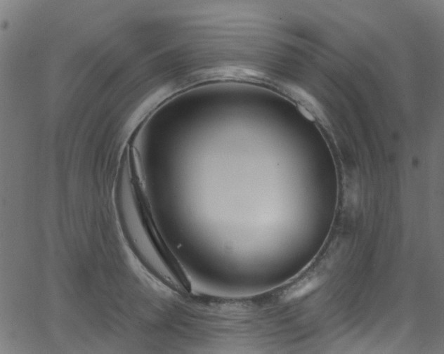 X0000068770946200605011023