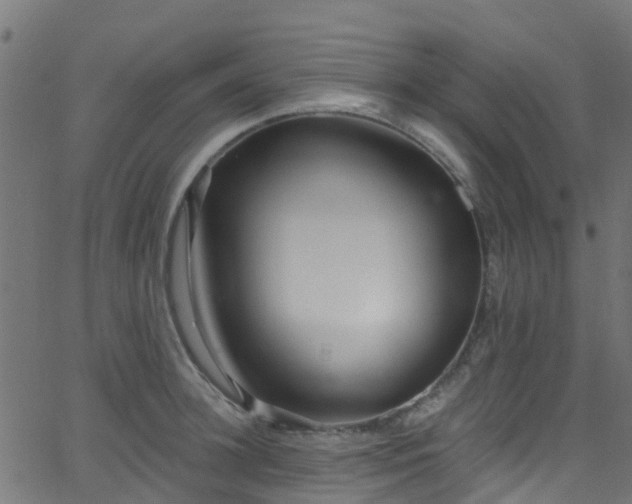 X0000068770948200605011024