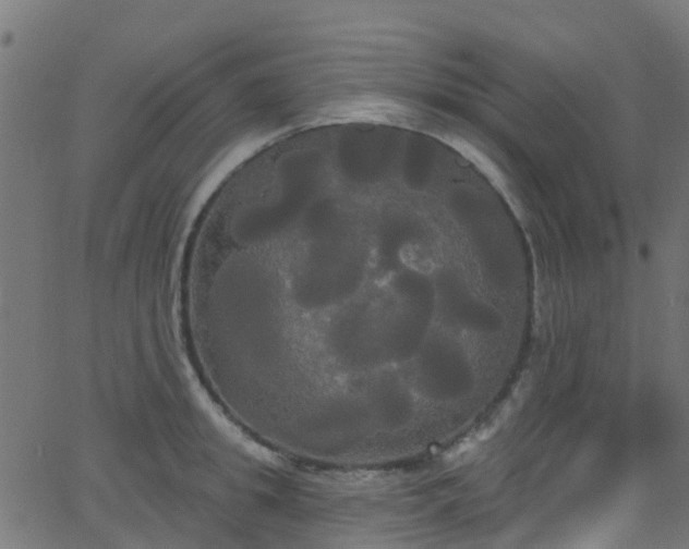 X0000068770949200605011024