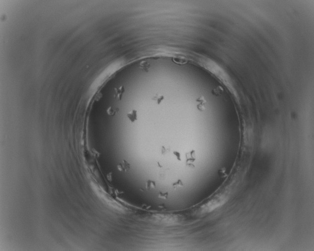 X0000068770954200605011024