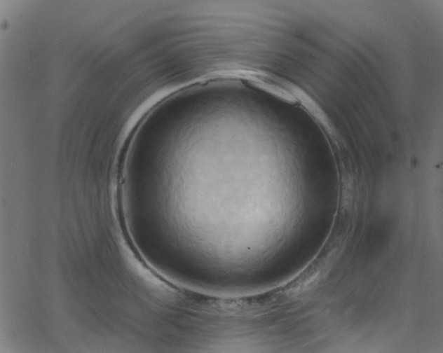 X0000068770955200605011024