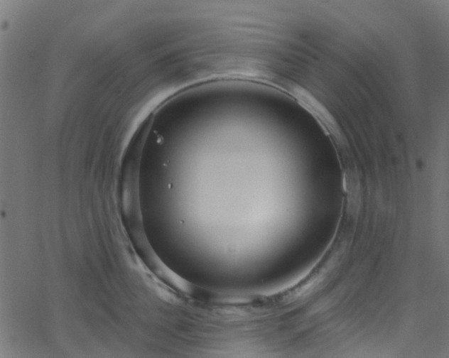 X0000068770956200605011024