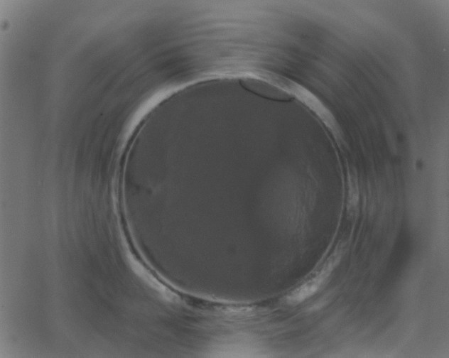 X0000068770958200605011024