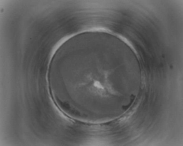 X0000068770959200605011024