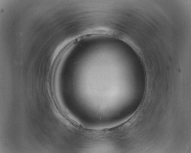 X0000068770960200605011024