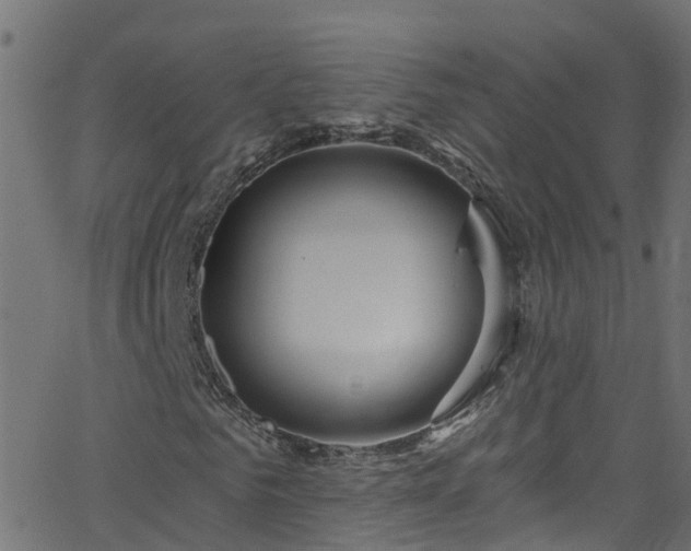 X0000068770961200605011023