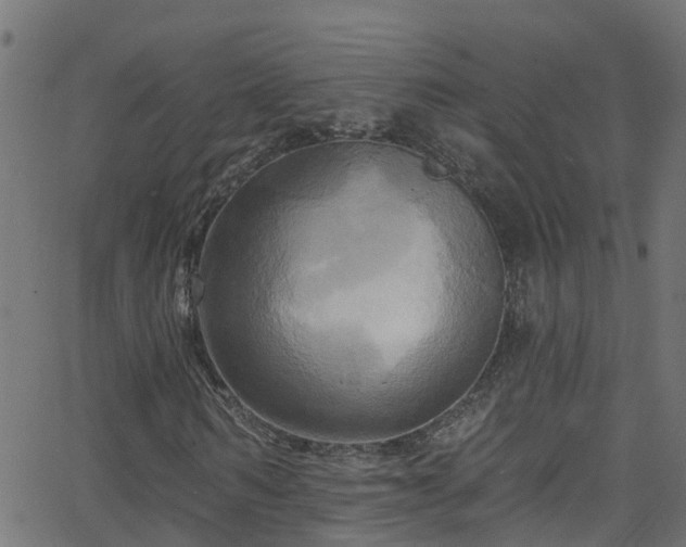 X0000068770962200605011023