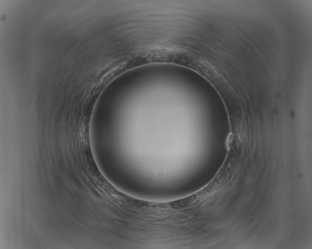 X0000068770964200605011023