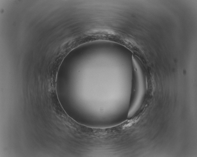 X0000068770965200605011023