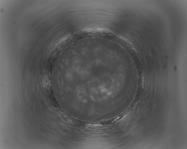 X0000068770966200605011023