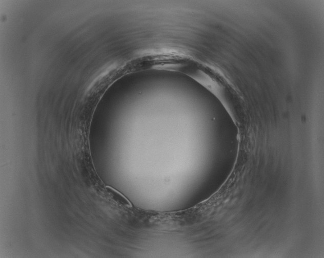 X0000068770967200605011023