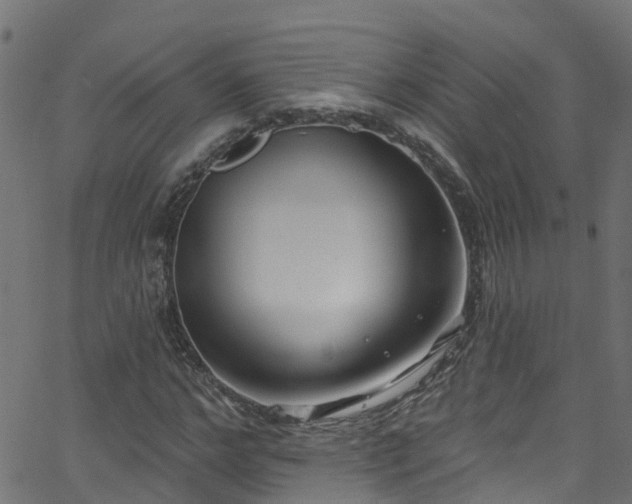 X0000068770968200605011023