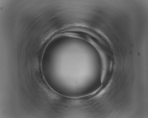 X0000068770969200605011023