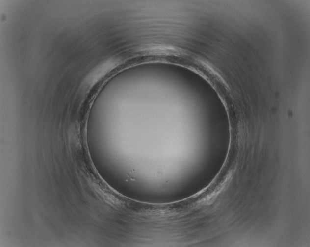 X0000068770970200605011023