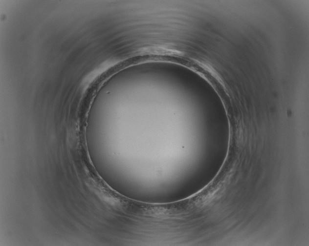 X0000068770971200605011023