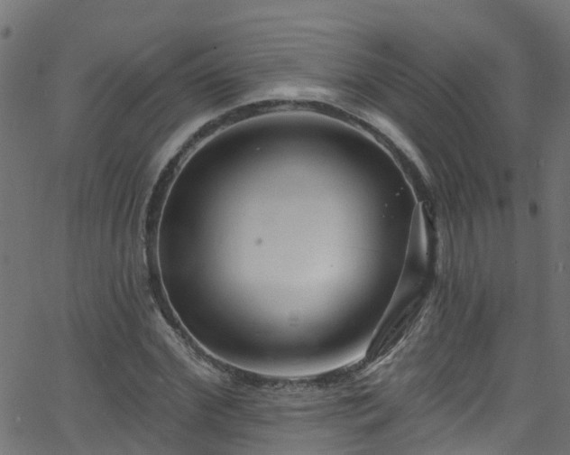 X0000068770972200605011023