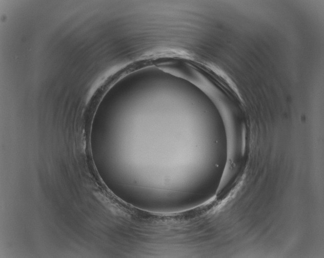 X0000068770973200605011023