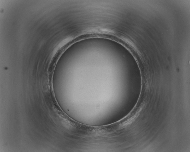 X0000068770974200605011023