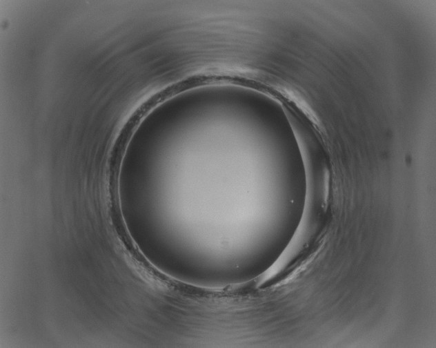 X0000068770976200605011023