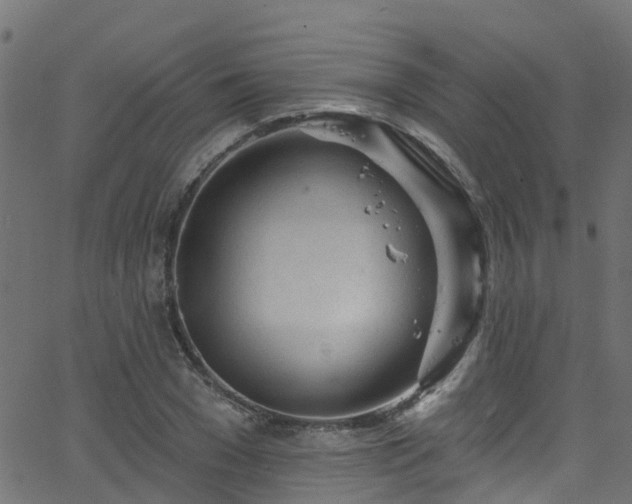 X0000068770977200605011023