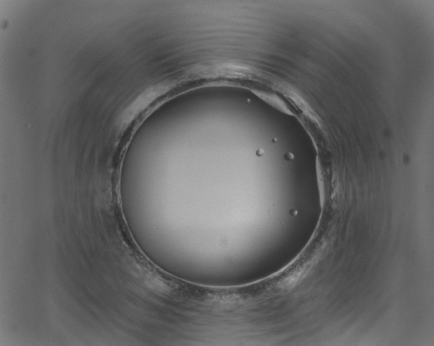 X0000068770978200605011023