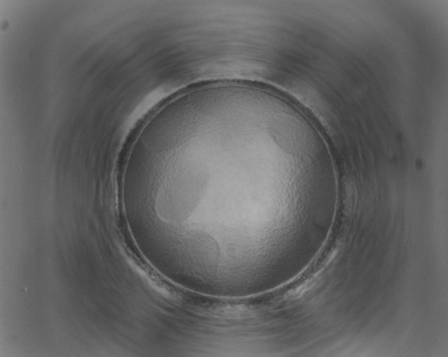 X0000068770982200605011023