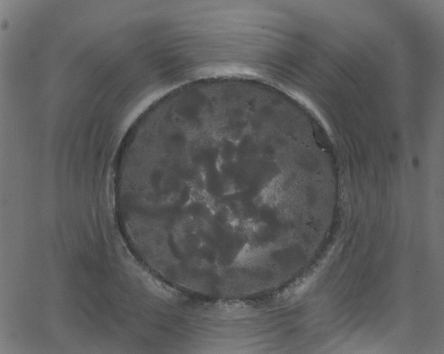 X0000068770983200605011023