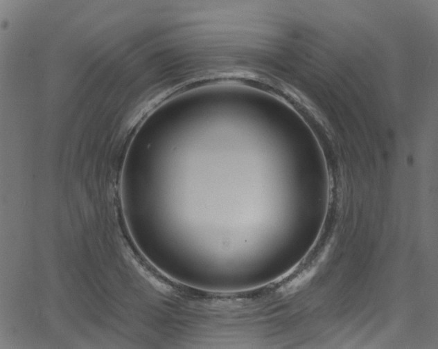 X0000068770985200605011022