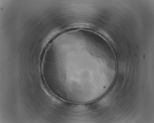 X0000068770986200605011022